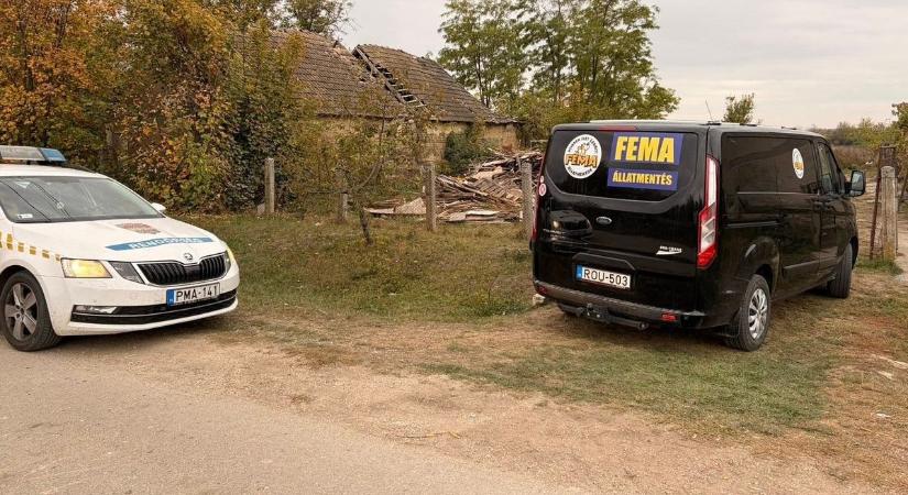 Horrortanyára rohantak az állatvédők, Kislángon megelevenedett a rémálom