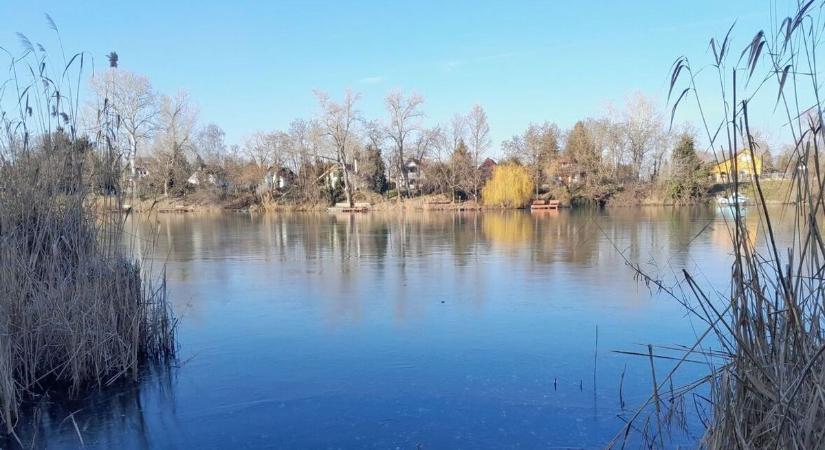 Az Alcsi Holt-Tiszán télen is nyár lesz – így döntöttek a vízügyi szakemberek