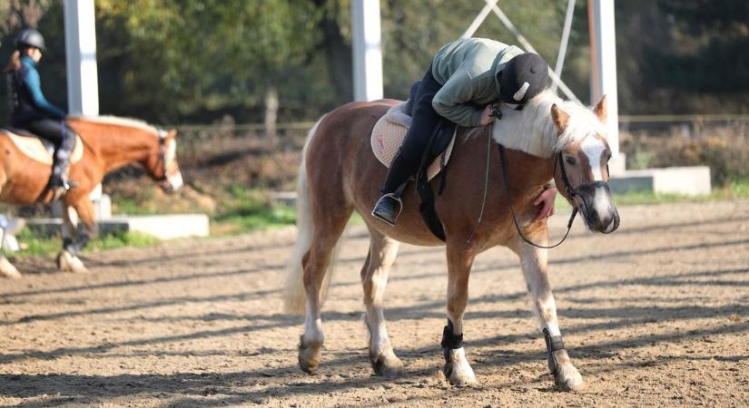Szakmai napot szerveztek a nehézségekkel küzdő gyerekeknek és hozzátartozóiknak Debrecenben