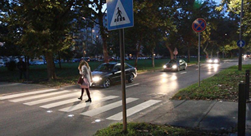 Magyar zebrák jelenhetnek meg külföldön