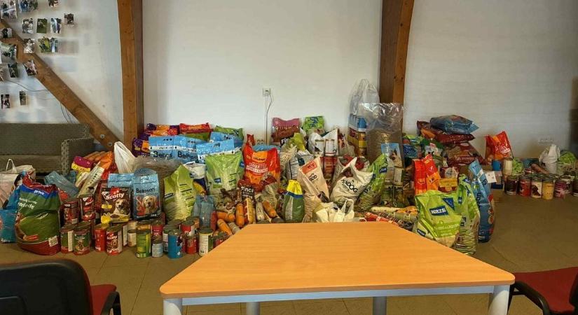 Másfél tonna szeretet a négylábúaknak – a törökszentmiklósi diákok újra bizonyítottak!