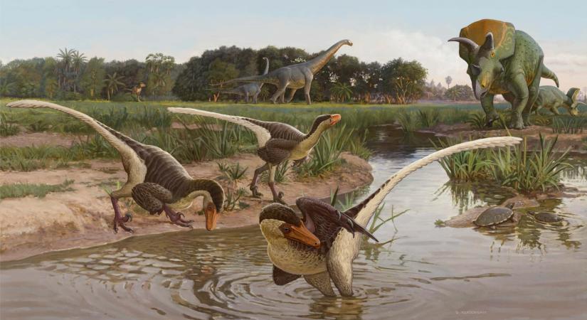 Bizonyítékot találtak arra, mi történt a dinoszauruszokkal