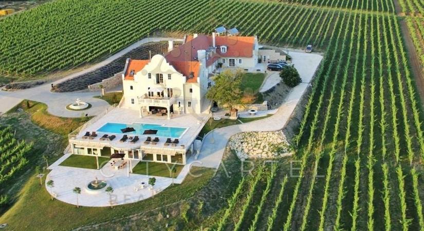 Árulják a Balaton hatalmas borbirtokát, fotókon az ámulatba ejtő magyar Toszkána ( galéria)