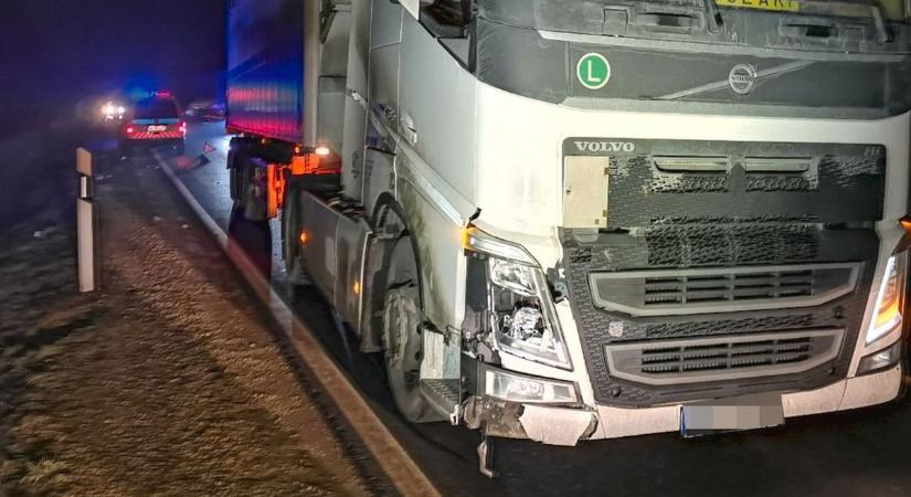 Vadat gázolt a kamion, de nem lett belőle pörkölt