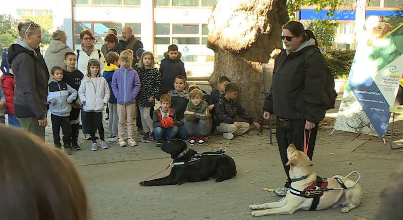 Október a látás hónapja
