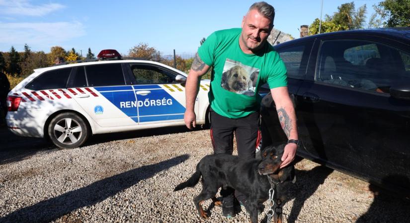 Brutális körülmények közül, rendőri segítséggel mentették ki a csontsovány kaposvári rottweiler kutyákat - FOTÓ, VIDEÓ