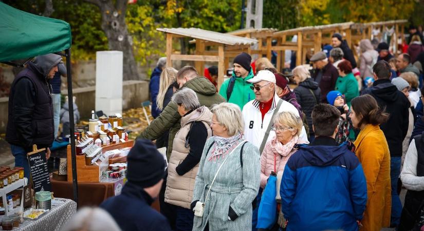 Egy legenda szertefoszlott Noszvajon, de a birslekvár és -sajt a párját ritkítja - fotókkal