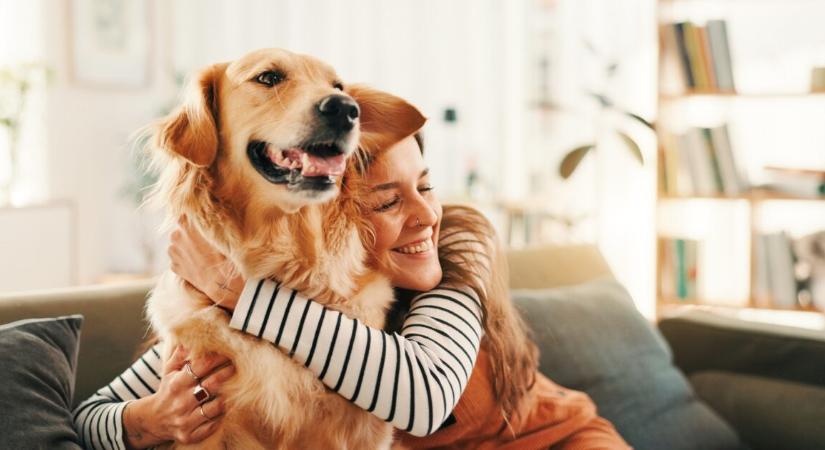Maga a csoda – terápiás golden retriever segített felébreszteni egy 39 éves nőt a kómából