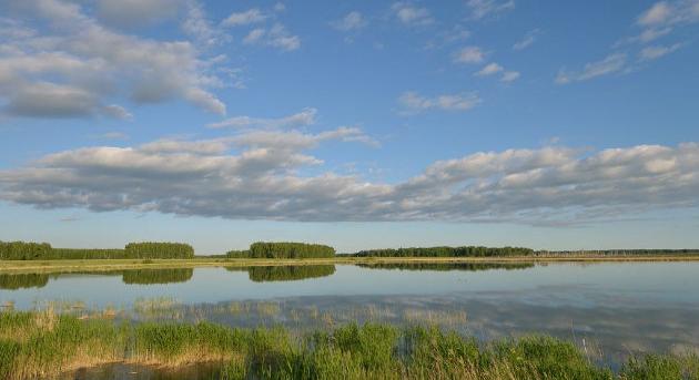 Rejtélyes bronzkori kerámiák kerültek elő Nyugat-Szibériában