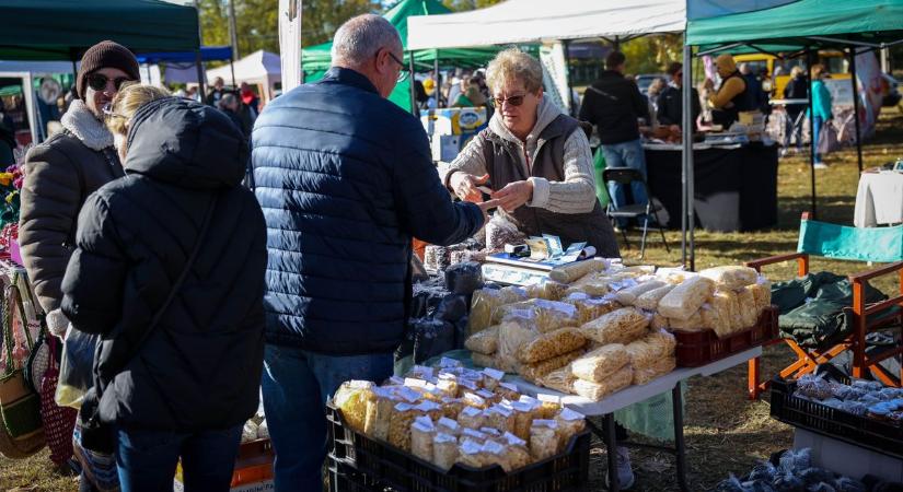 Családias hangulat, finom ízek és szép portékák az Ürgemezei Pihenőparkban (galéria)