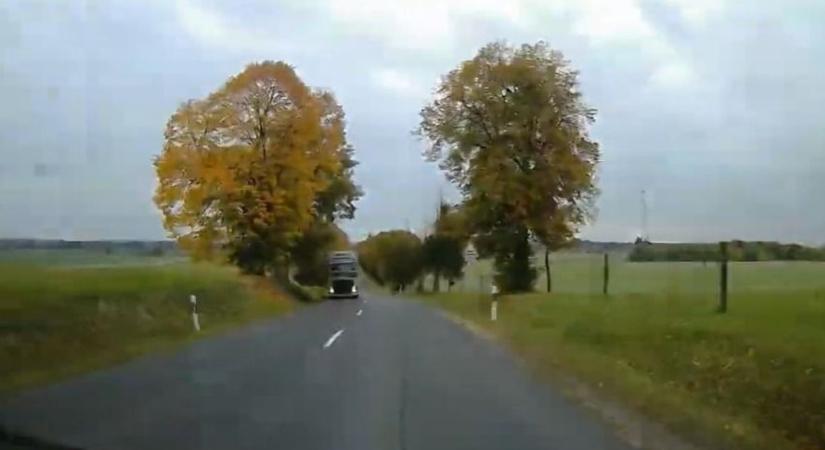 Vízcsöpp iramlik egy kövér bogyóról... – Mi így látjuk a zalai őszt (videó)