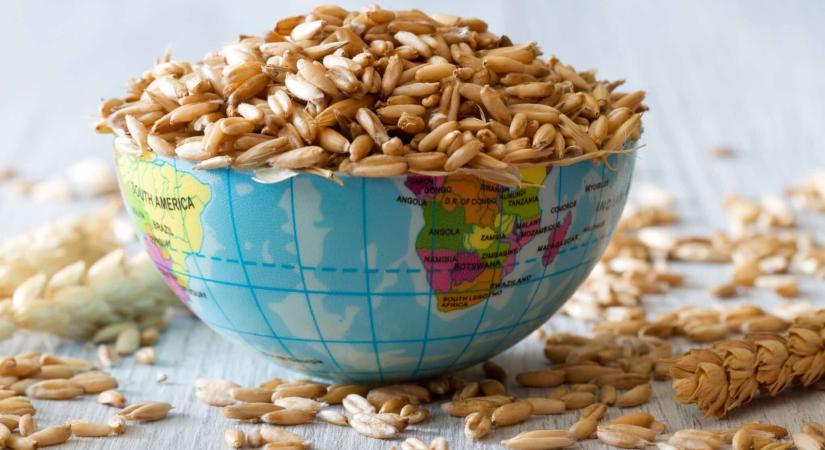 Százmilliókat lehetne jóllakatni, ha nem legyintenénk a világ legnagyobb pazarlására