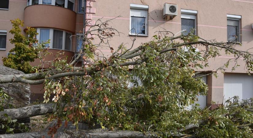Brutális szélsebességet mértek a Jászkunságban – mutatjuk, hol volt a legerősebb