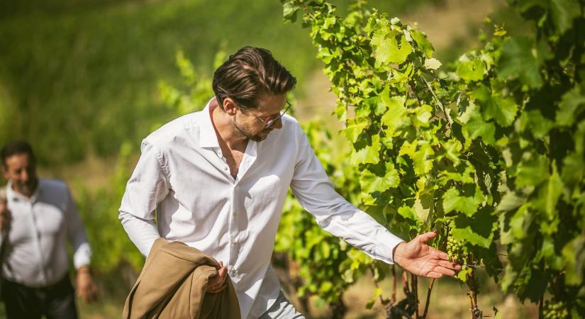 Tompa Imre: Jó kis borcikk