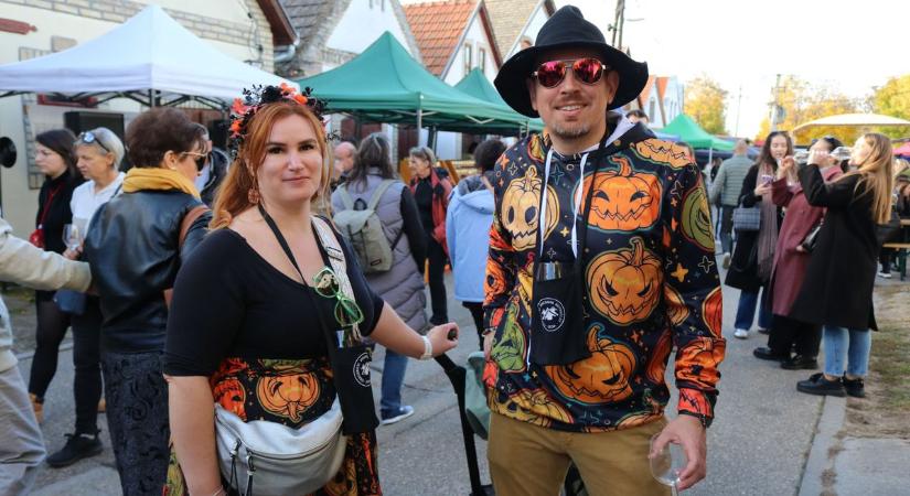 Megnyílt az évszázados labirintus, tömegeket vonzott az őszi fényben úszó Hajós-Pincefalu – fotók
