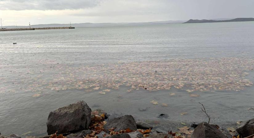2 centis csoda történt a Balatonnál az éjjel