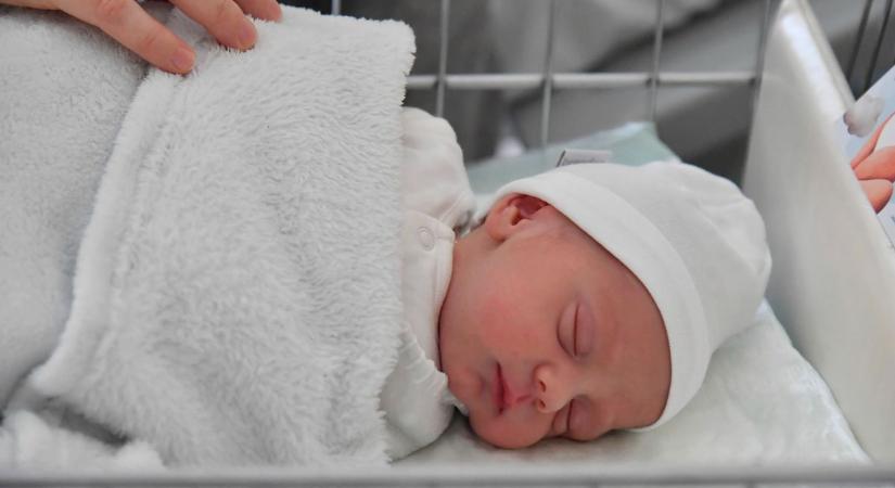 Erre senki sem számított: műanyag babát mutatott be gyermekeként családjának egy "anya"
