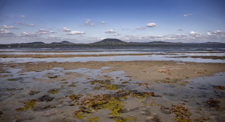 Kotrógépek dolgoznak a Balatonnál, sürgős beavatkozásra volt szükség