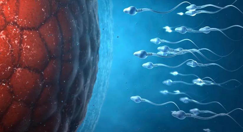 Valóban nő a betegségek kockázata, ha 40 felett vállalnak a férfiak gyereket?