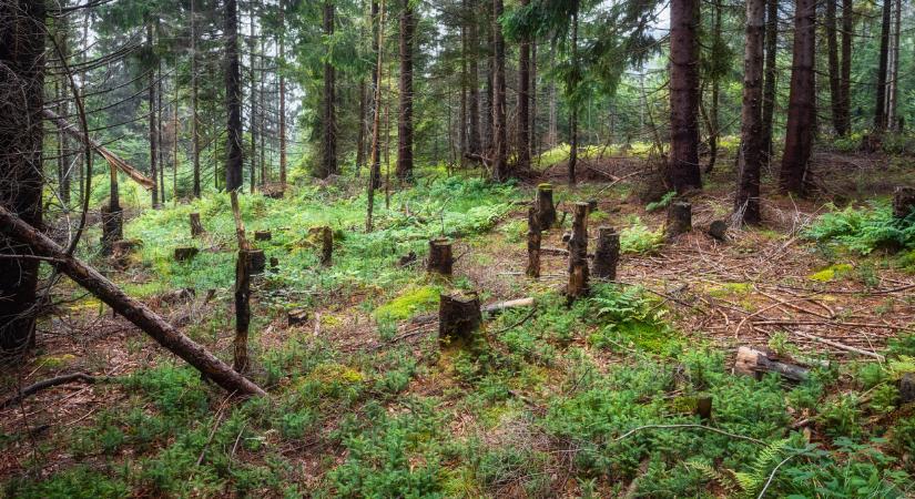 Meghalt egy magyar turista a Magas-Tátrában: sokkoló dolgok derültek ki a körülményekről