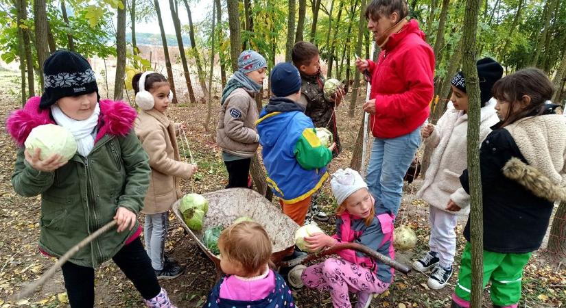 Alkotás, kirándulás, élmény – őszi tábort szervez a Vidéken Jó! Alapítvány