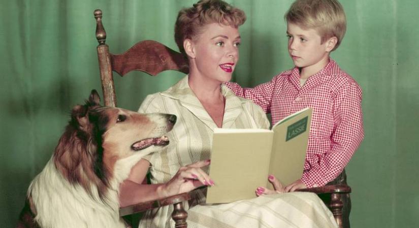 Elhunyt June Lockhart, Hollywoodi Aranykorának egyik utolsó csillaga: a Lassie színésznőjeként vált ismertté