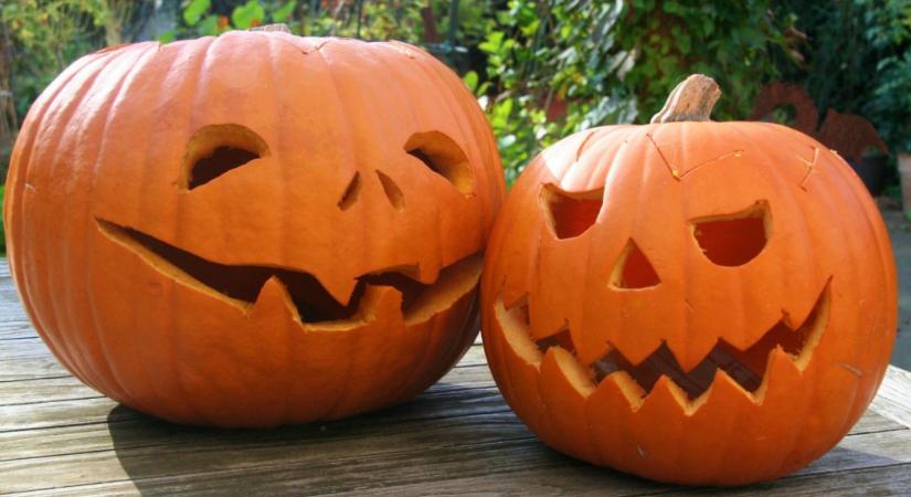 Tökfaragás közben ne a kezed bánja – a kézsebész tanácsai Halloweenre