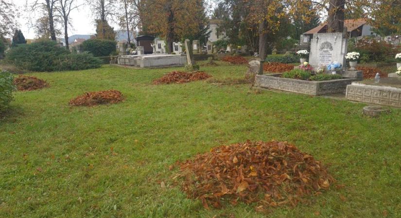 Ebben a Tokaj-hegyaljai faluban közösen szépítik a tereket