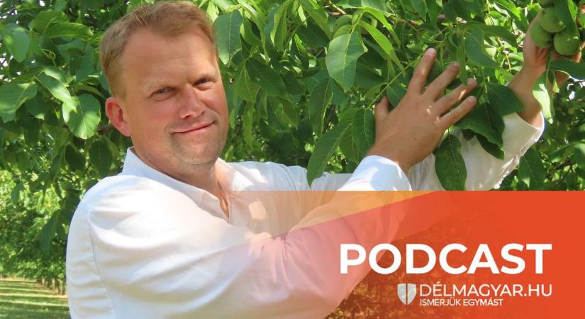 Mi fán terem a mézga? Segélykiáltás vagy veszélyes betegség? Növényorvos válaszolt
