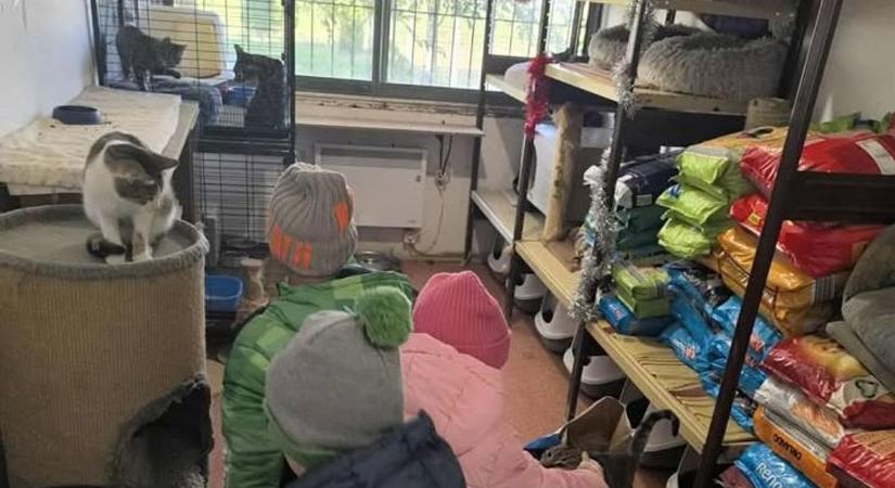Újra segítettek a tetoválóművészek – a Rex Állatvédő Egyesület hálás a támogatásért