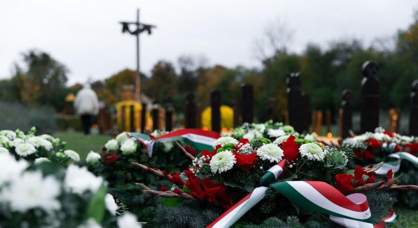 Mosonmagyaróvári sortűz: Elmentek forradalmat nézni