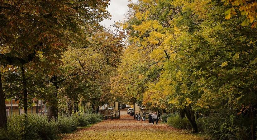 Szükség lesz az esernyőre Hevesben? Mutatjuk a hétfői időjárást