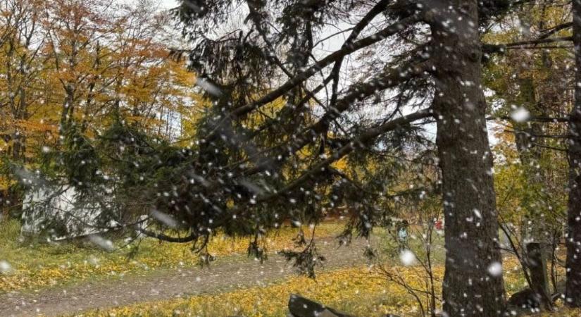 Hózápor a Kékestetőn