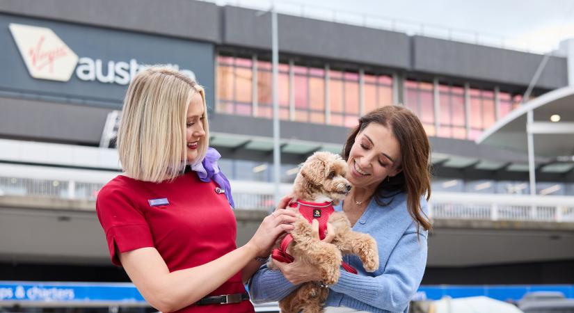 Olaszország után a Virgin Australia járatain is utazhatunk kutyával