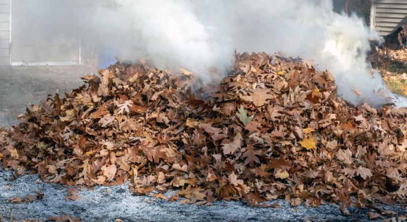 Figyeljen oda, nehogy megjárja! Szabályozzák az avarégetést a zalai városban