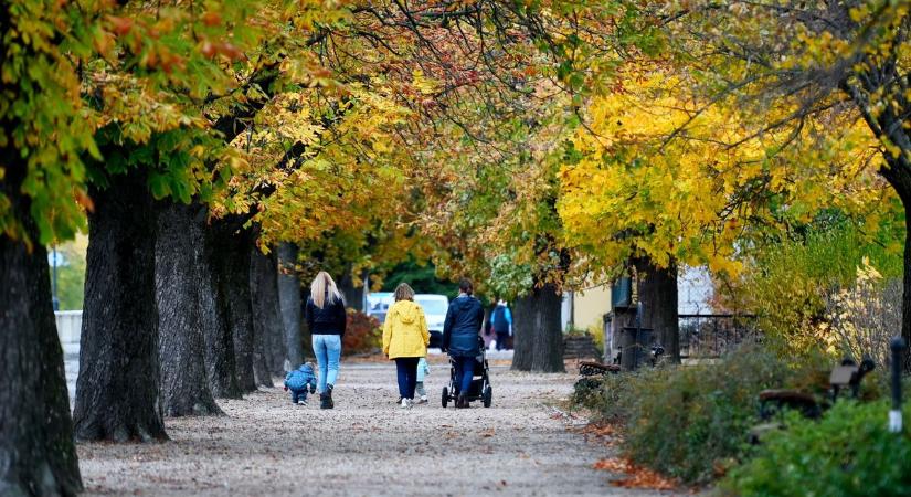 Csodálatos őszi köntösbe öltözött a Tisza-part, lenyűgöző látványt nyújt a szolnoki sétány – galériával