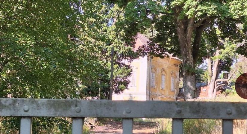 Egészen megdöbbentő, hogy mit árverez el a NAV