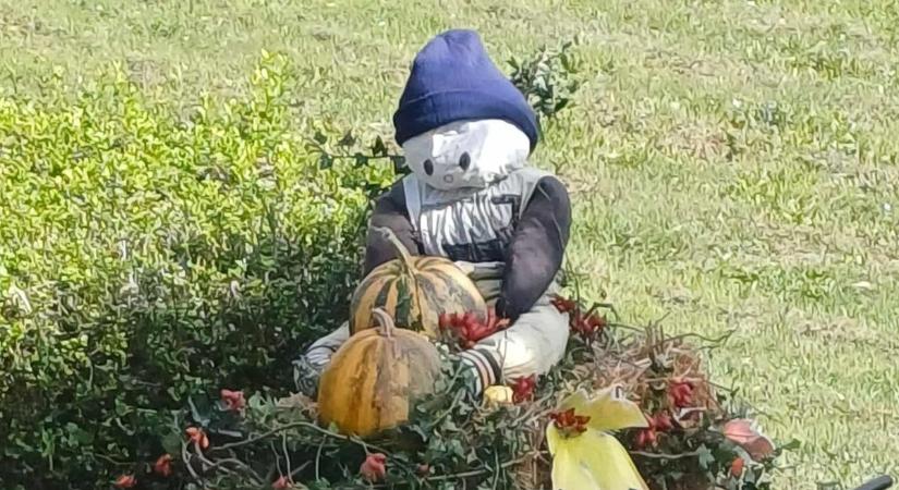 Összeállt az év végi rendezvénynaptár, izgalmas programokkal várnak