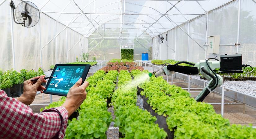 Drónokkal már tele az égbolt, de a földi robotok lassabban terjednek