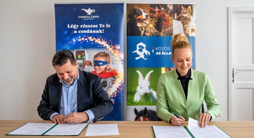 Állatokkal a csodákért: egyedülálló együttműködés a Közös ügyünk az állatvédelem Alapítvány és a Csodalámpa Alapítvány között