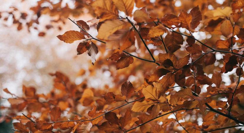 Kiadták a kéthetes időjárás-előrejelzést – Erre készüljünk november első felében