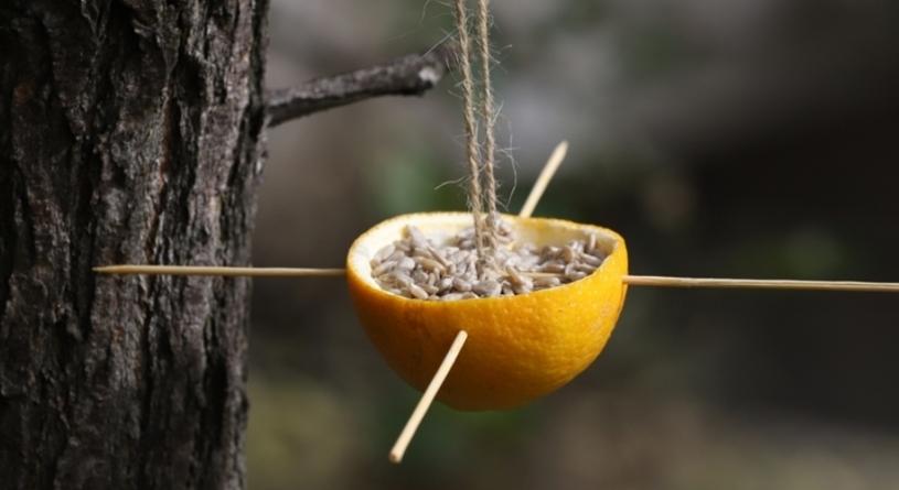 Ötperces madáretető készítése: 4 szuper ötletet mutatunk, amikből inspirálódhatsz!