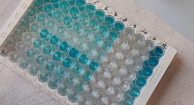 Komoly betegségek diagnosztizálásához és terápiájához járultak hozzá magyar kutatók