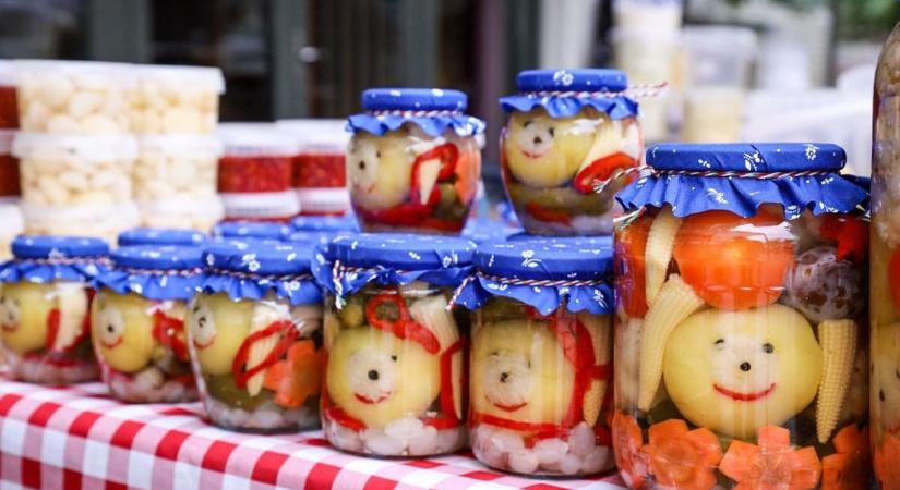 Akár 19 millió forint járhat helyi vállalkozóknak – ne maradjon le róla!