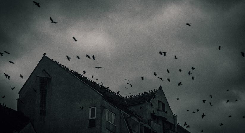 5 rémisztően jó film halloween estére, amit látnod kell