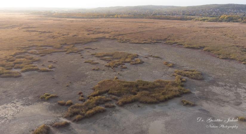 Velencei-tó alacsony vízszintje a klímaváltozás tükrében