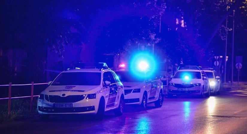 Durva késelés Ausztriában: leszúrták anyját és fiát