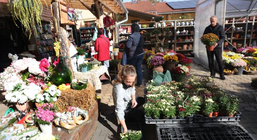 Körkép: tovább drágult a kegyelet lángja Mindenszentekre, mutatjuk hol vedd meg
