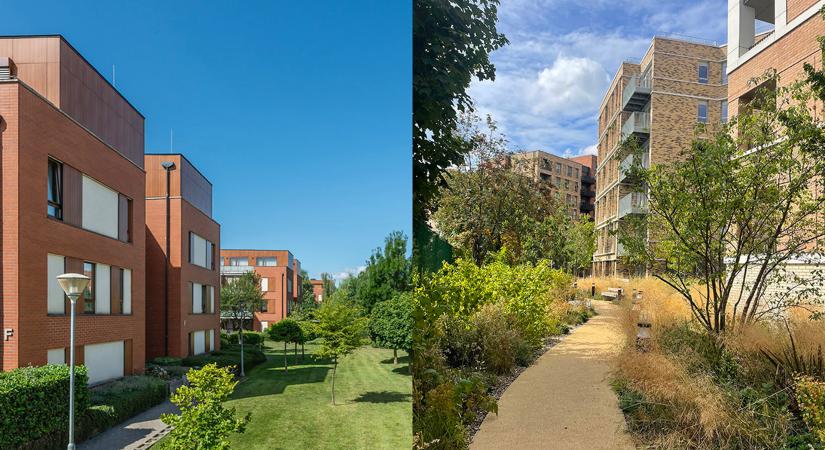 Épületek, amiket körbefont a természet – vagy mégsem?