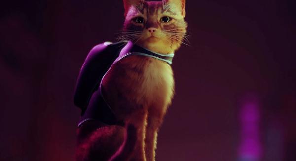 A kóbor macskás Stray lehet az egyik novemberi PlayStation Plus játék